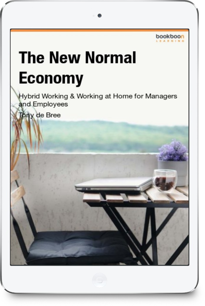 The-New-Normal-Economy-ebook-Tony-de-Bree